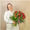 Tulipanes Rojos