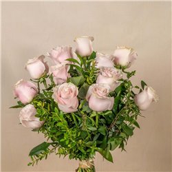 12 Rosas Rosas Tallo Medio