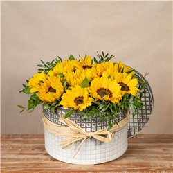 Caja Destello de SoL