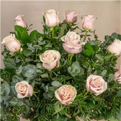 12 Rosas Rosas Tallo largo