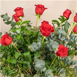 12 Rosas Rojas Tallo Largo