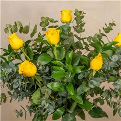 6 Rosas Amarillas