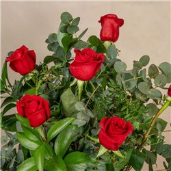 6 Rosas Rojas