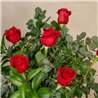 6 Rosas Rojas