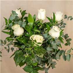 6 Rosas Blancas