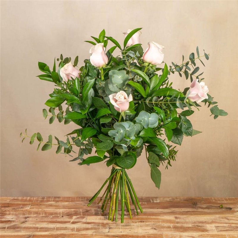 6 Rosas Rosas