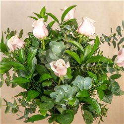 6 Rosas Rosas