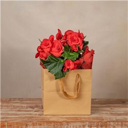 Bolsa La Vie Begonia