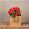 Bolsa La Vie Begonia