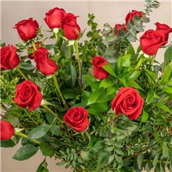 24 Rosas Rojas Tallo Largo