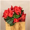 Bolsa La Vie Begonia