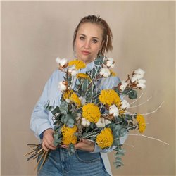Achillea