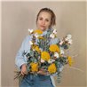 Achillea
