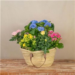 Capazo de Plantas Mix