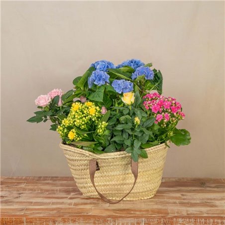 Capazo de Plantas Mix