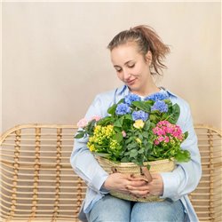 Capazo de Plantas Mix