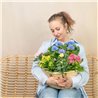 Capazo de Plantas Mix