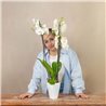 Orquídea Blanca