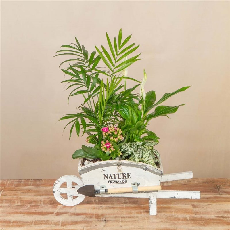 Carretilla de Plantas