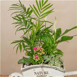 Carretilla de Plantas