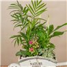 Carretilla de Plantas