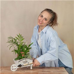 Carretilla de Plantas