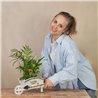 Carretilla de Plantas