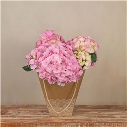 Planta de Hortensia Rosa
