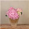 Planta de Hortensia Rosa