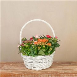 Cesta de Rosales y Kalanchoes