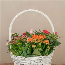 Cesta de Rosales y Kalanchoes
