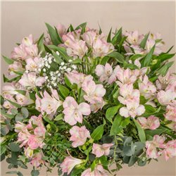 Ramo de Alstroemerias Rosas