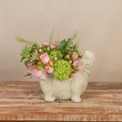 Hippo