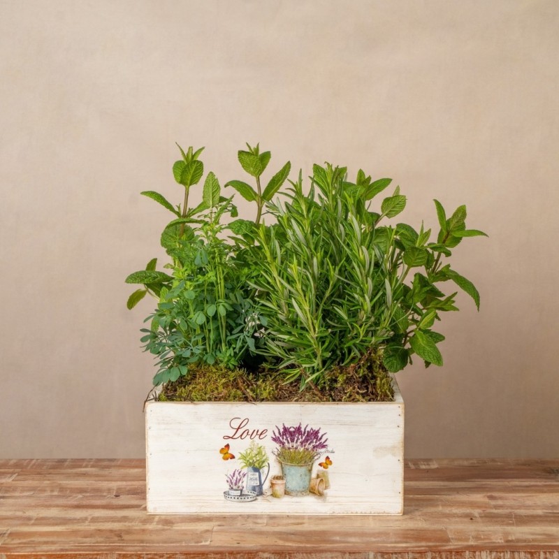 Caja Aromas de la Huerta