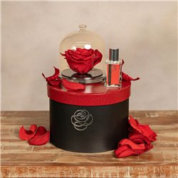 Kit Rosa Eterna