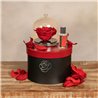 Kit Rosa Eterna