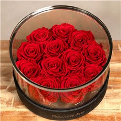 Caja Deluxe de 12 rosas preservadas