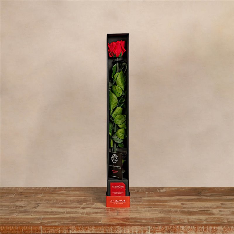 Amor eterno Amor eterno