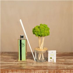 Árbol Vitality