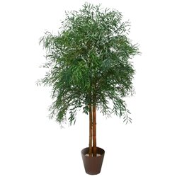 Árbol preservado AP25001