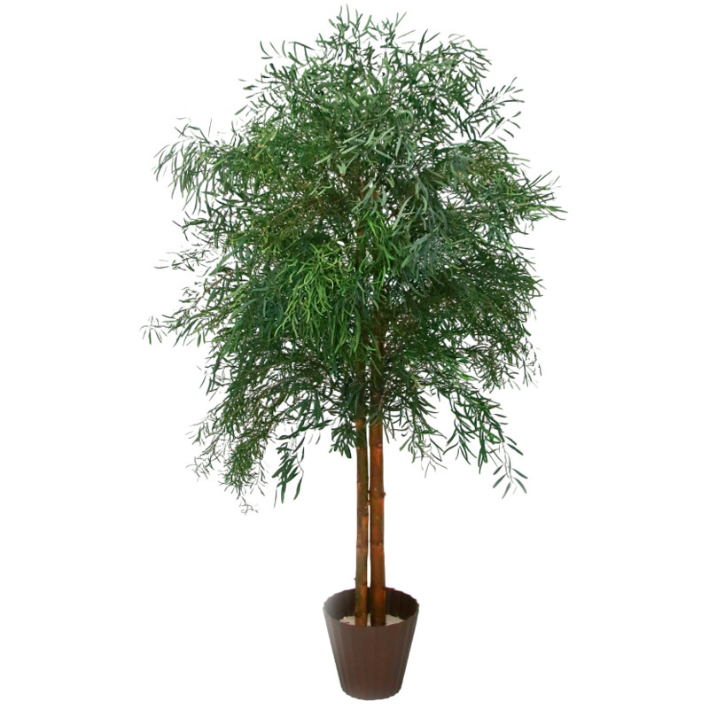 Árbol preservado AP25001