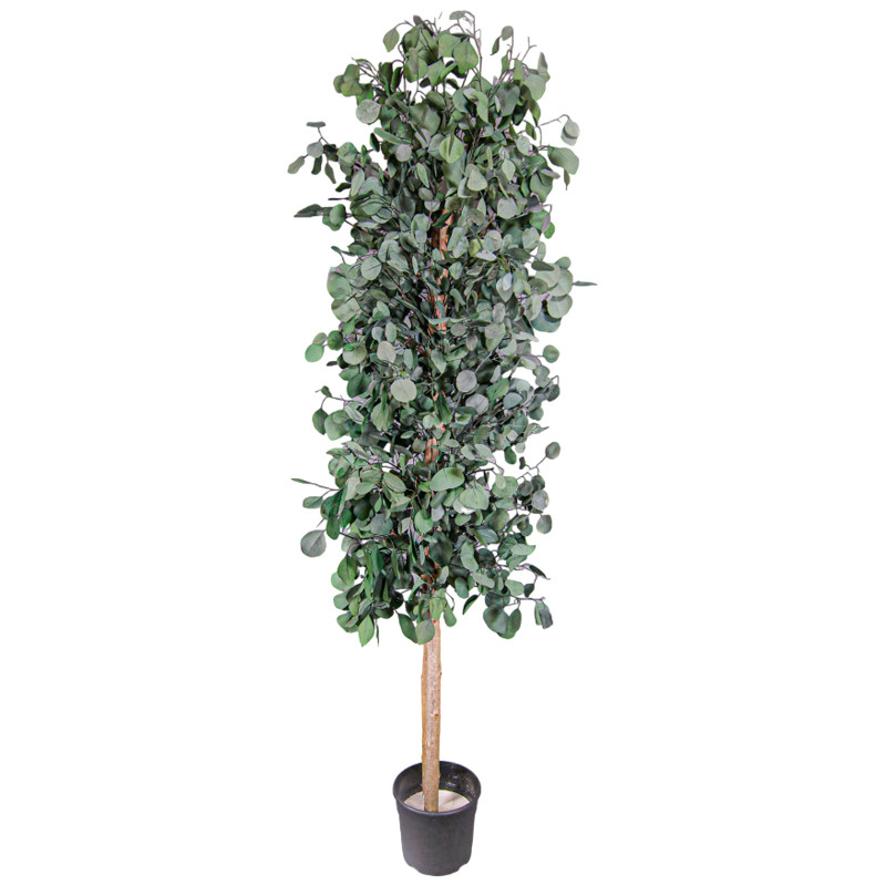 Árbol preservado AP25002