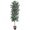 Árbol preservado AP25002