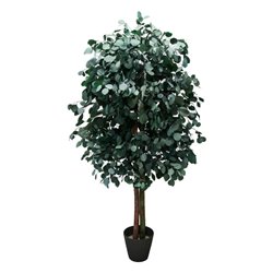 Árbol preservado AP25003
