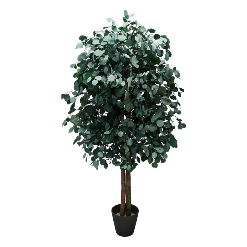 Árbol preservado AP25003