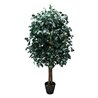 Árbol preservado AP25003