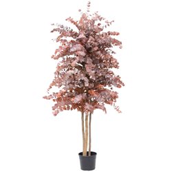 Árbol preservado AP25004
