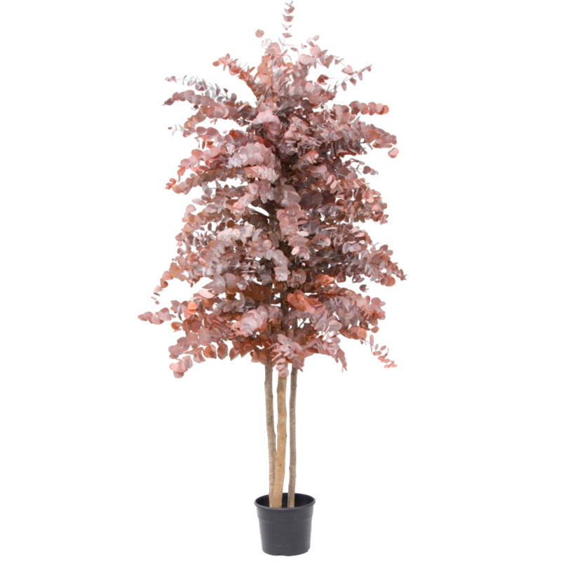 Árbol preservado AP25004
