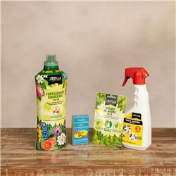Set Jardín