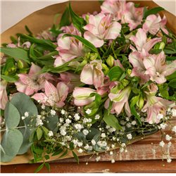 Paquete de alstroemerias rosa